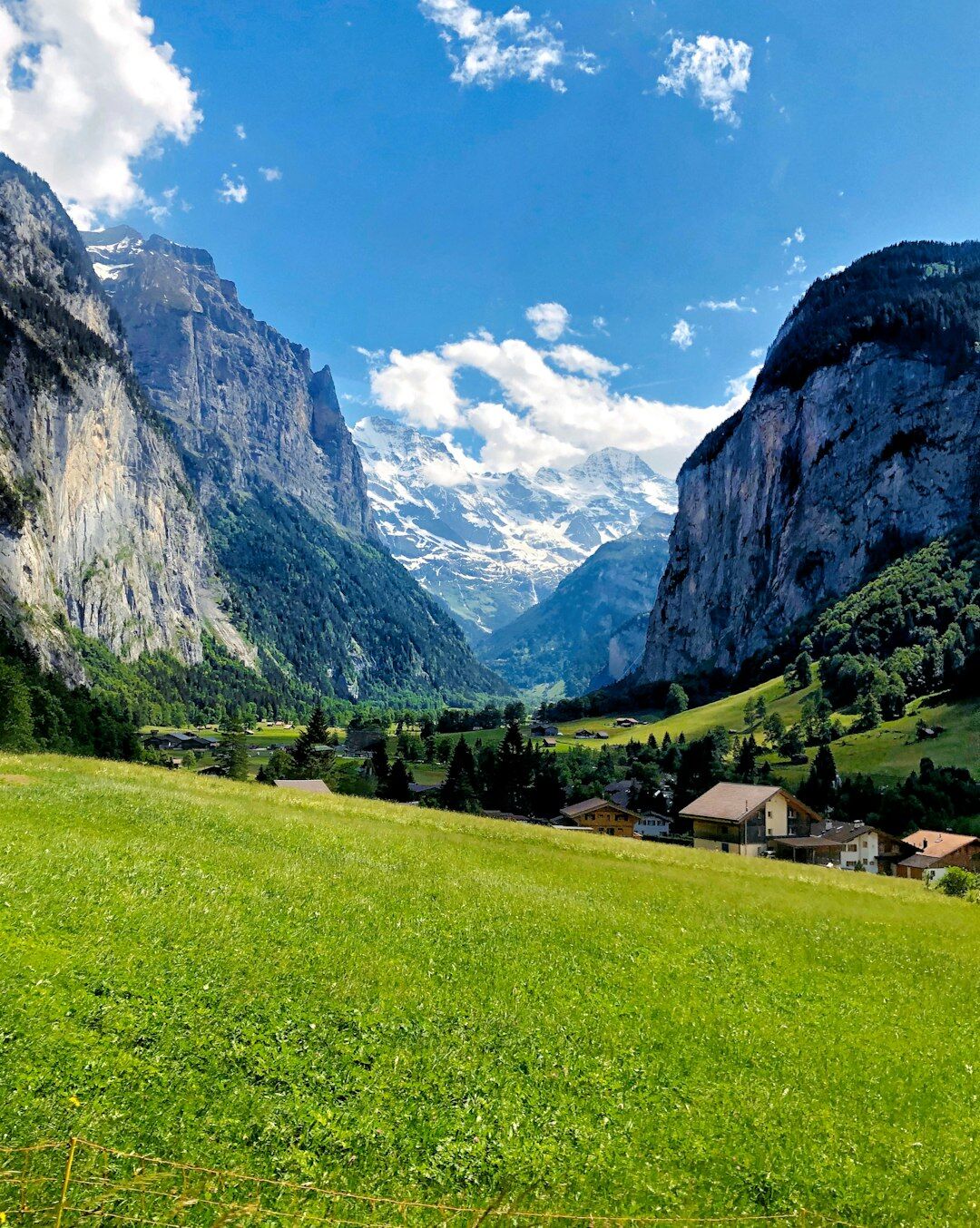 swiss green initiative
