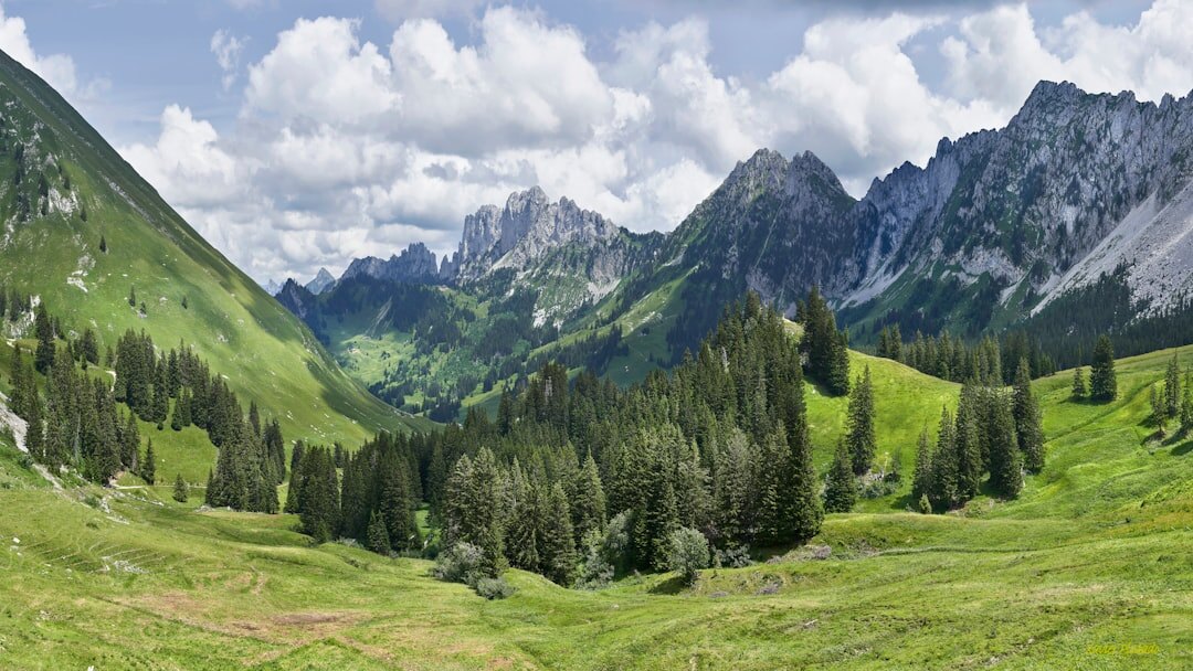 swiss green landscape