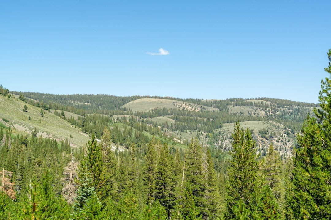 alpine hiking trails