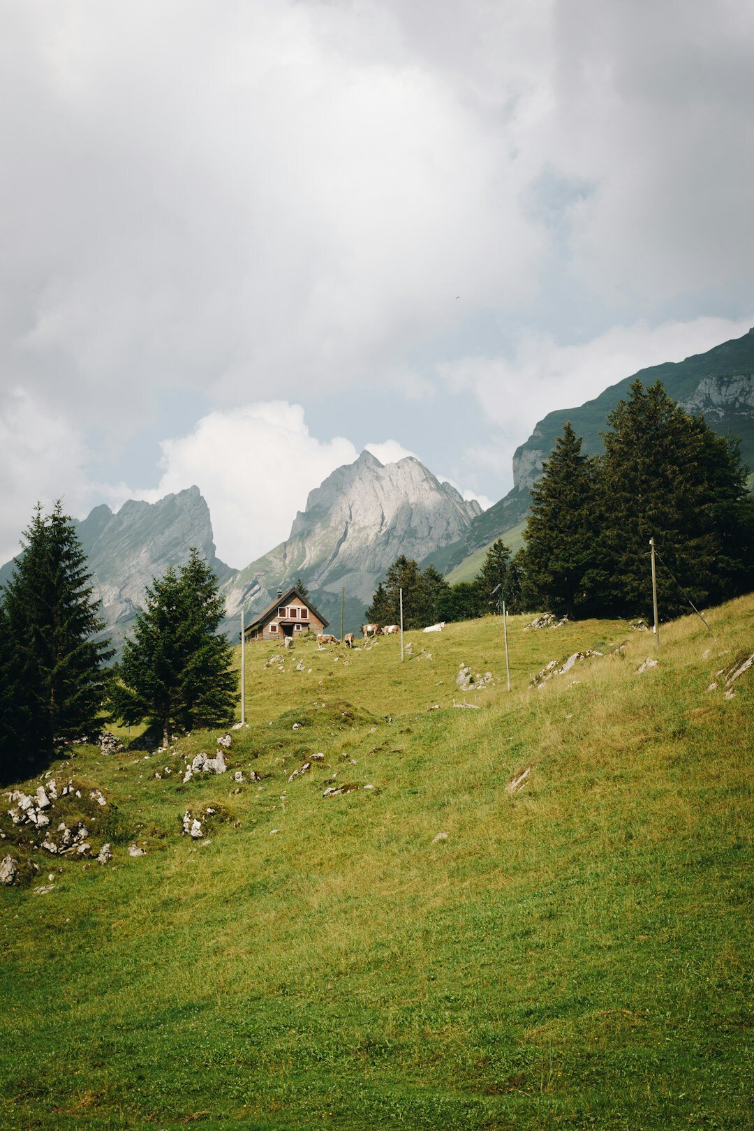 swiss alps landscape