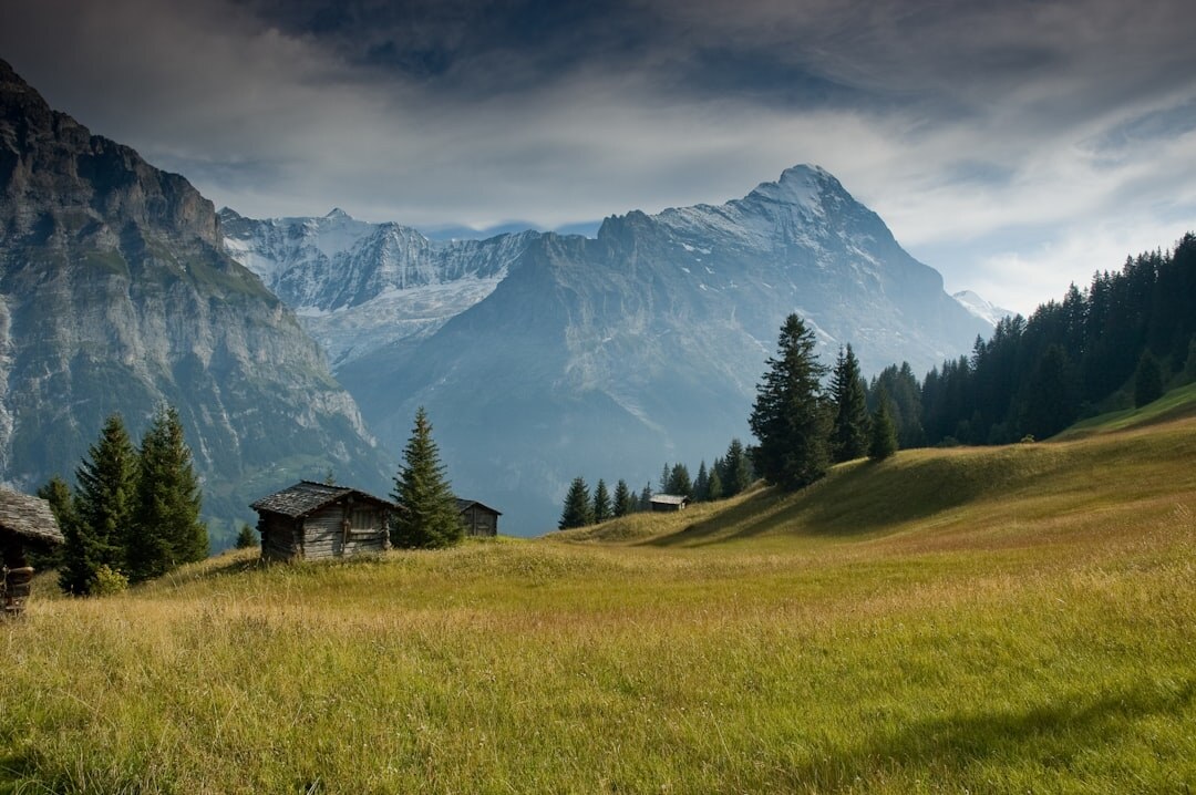 swiss alps landscape